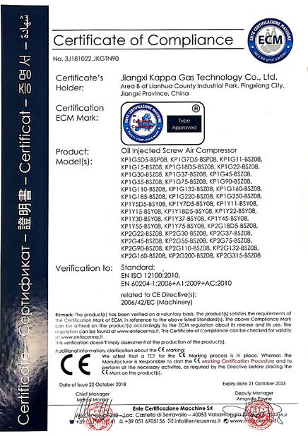 China Jiangxi Kappa Gas Technology Co.,Ltd zertifizierungen